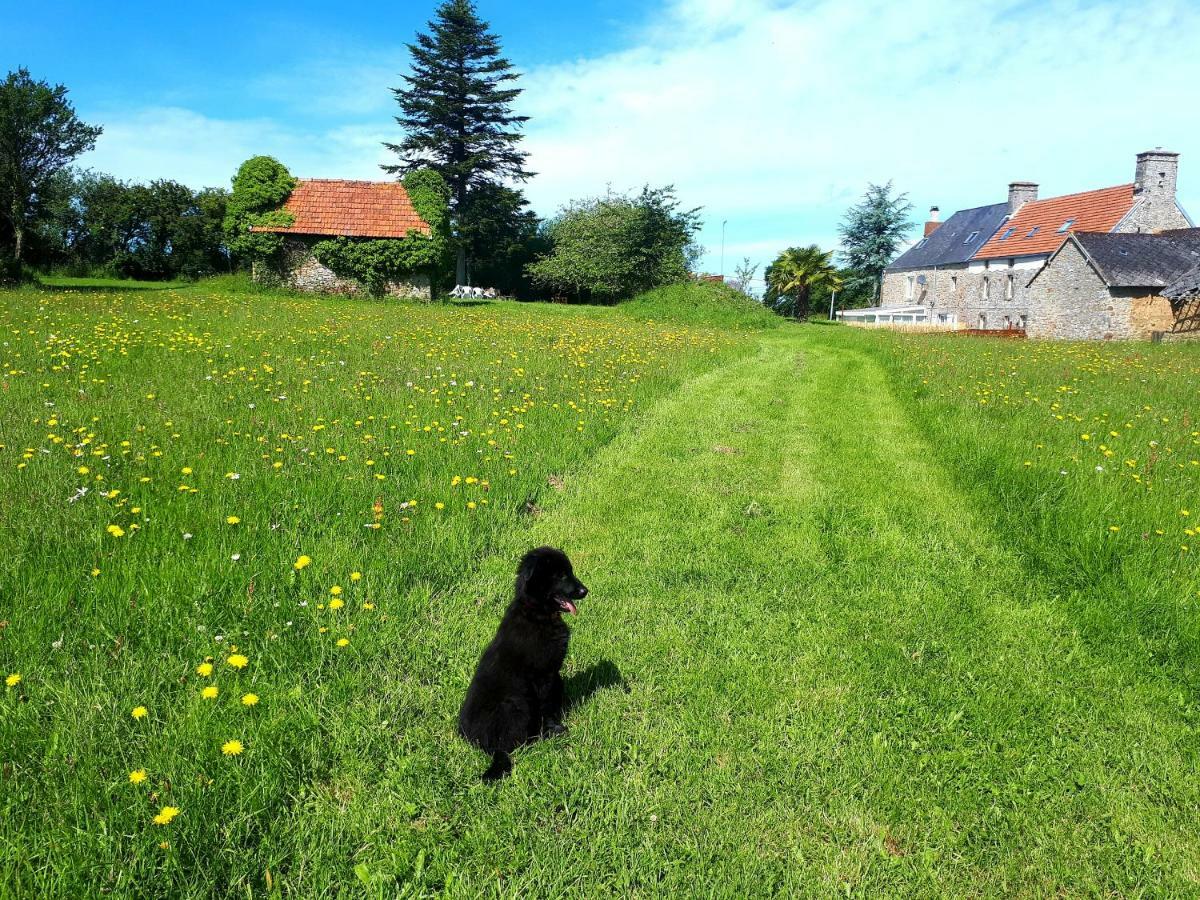 L' Anpeg, Gite Dans Le Cotentin Jusqu'A 8 Personnes Besneville Ngoại thất bức ảnh